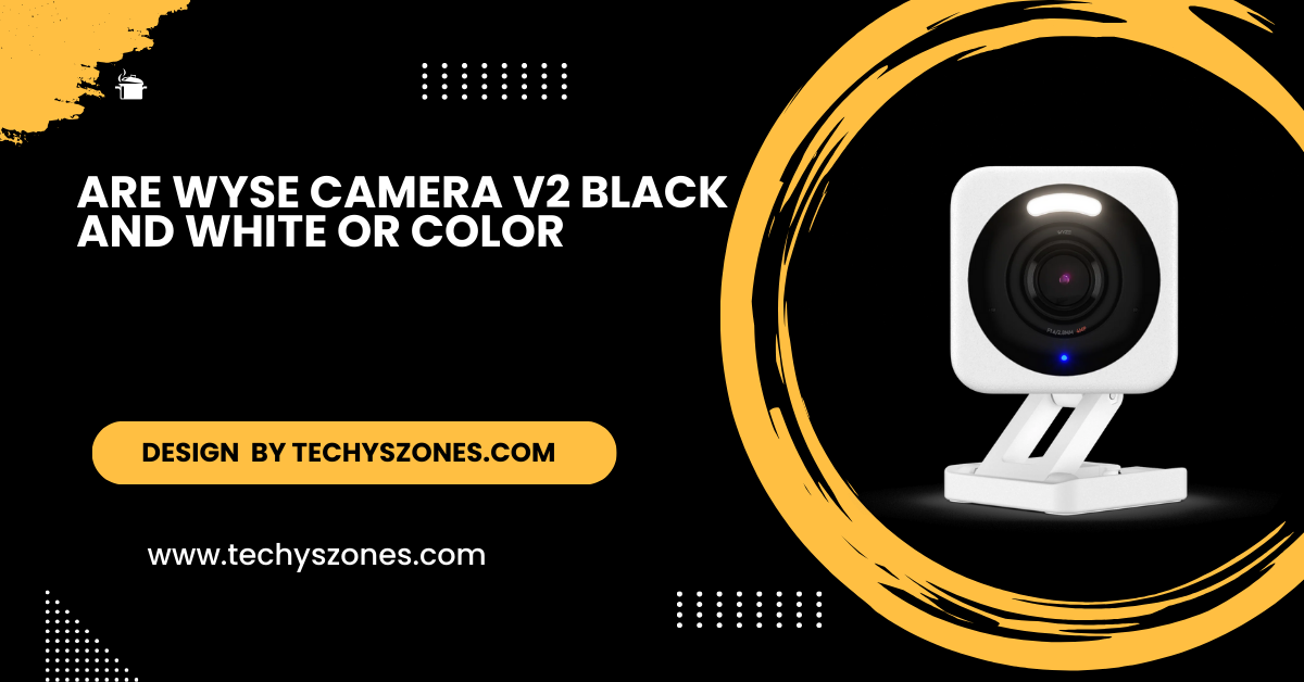 Are Wyse Camera V2 Black And White Or Color