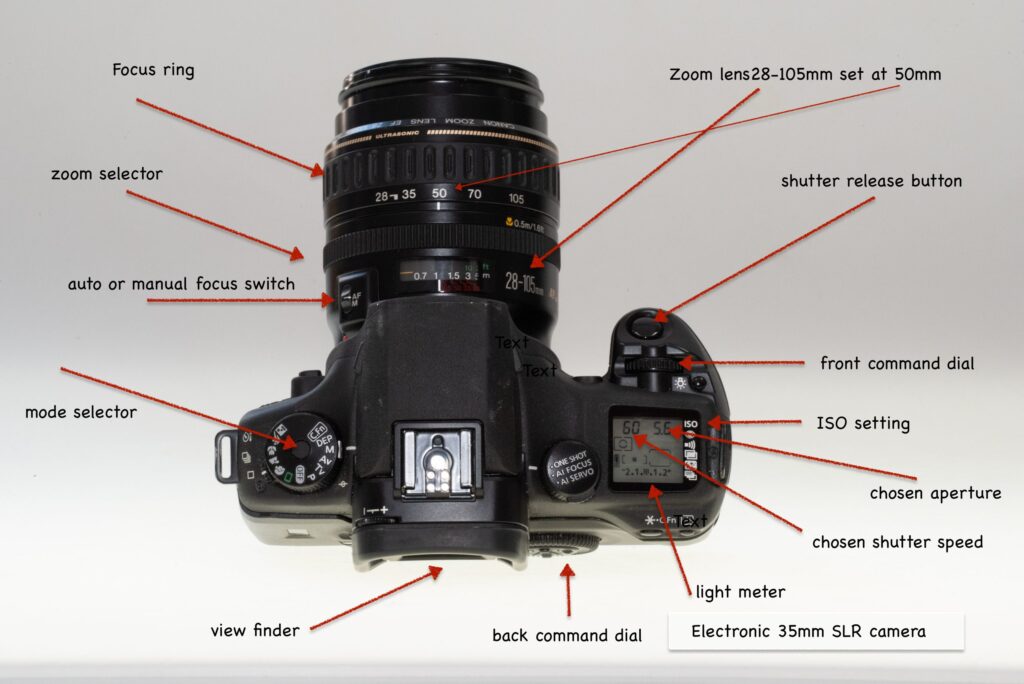 Understanding the Basics of Film Cameras: