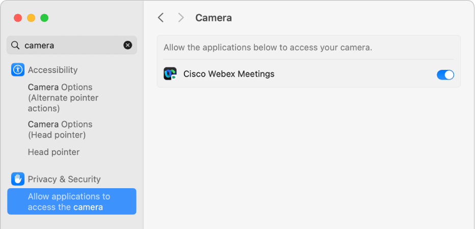 Check FaceTime Camera Permissions: