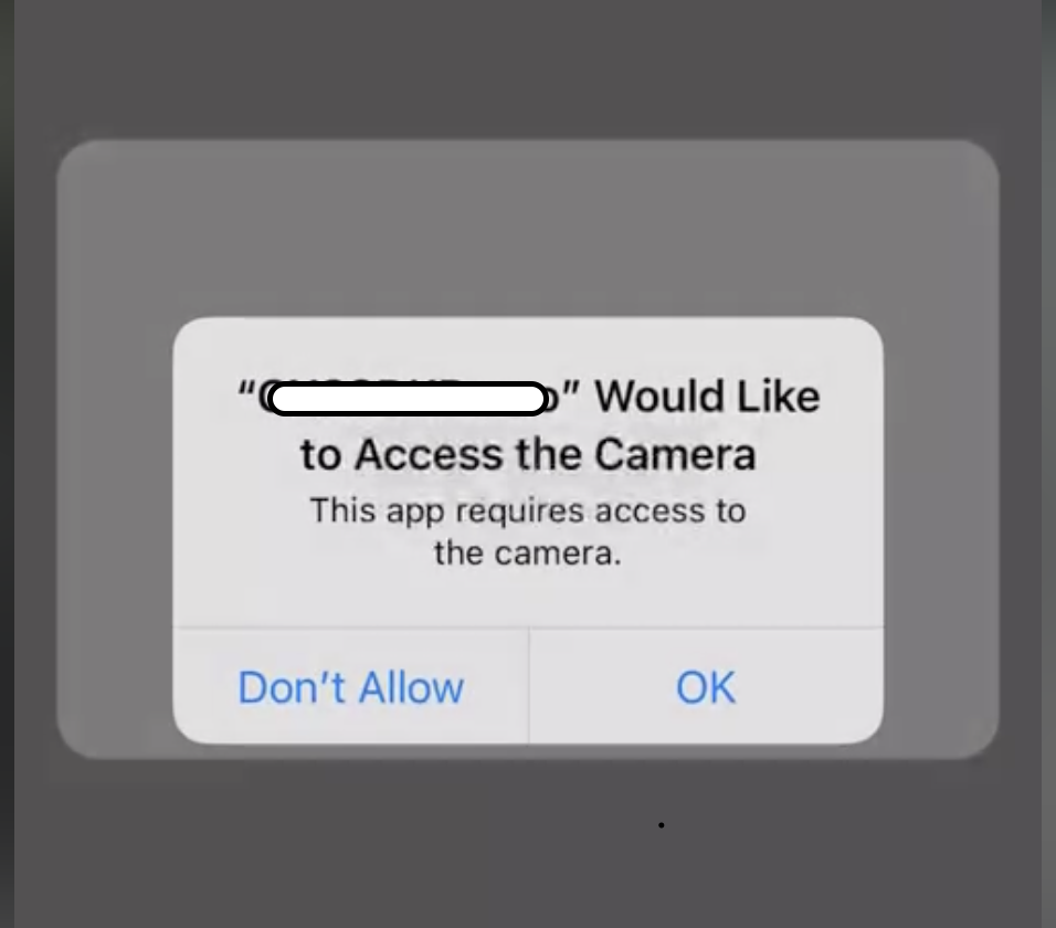 Why Do Web Apps Need Camera Access?